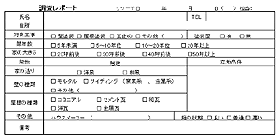 調査レポート